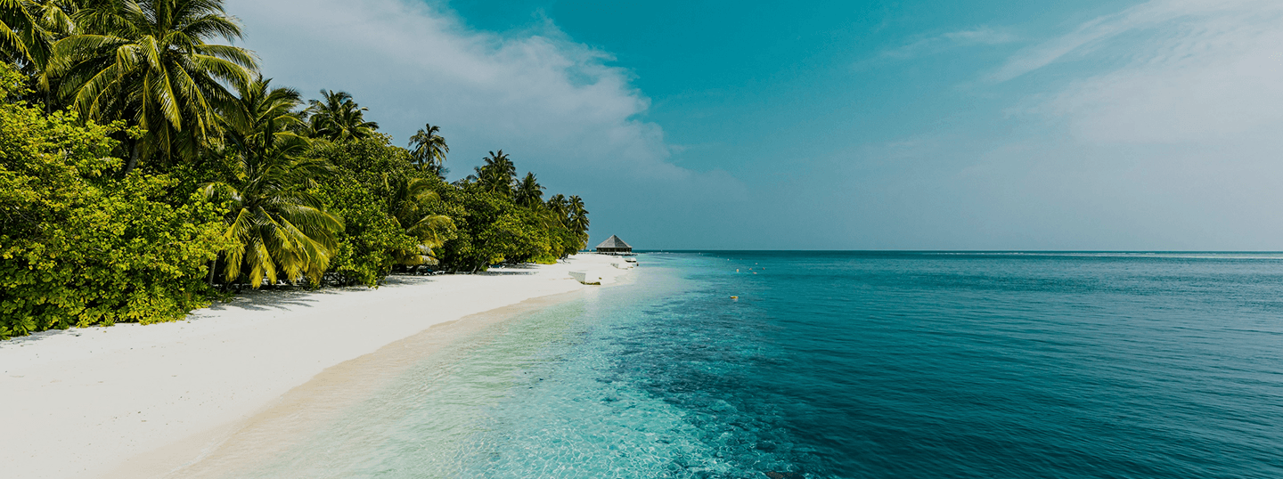 Tropical beach background
